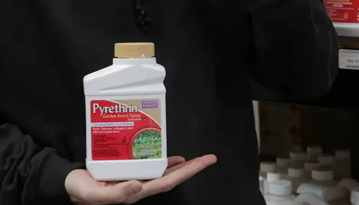 Bonide (BND857) - Pyrethrin Garden Insect Spray Mix