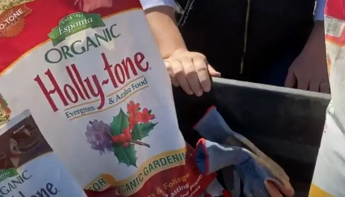 Espoma Organic Holly-tone 4-3-4