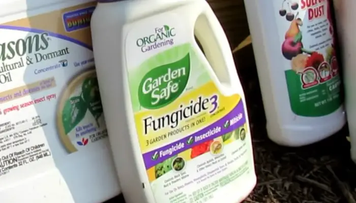Garden Safe Brand Fungicide3