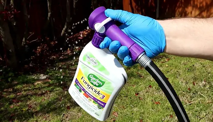 Garden Safe Brand Ready-to-Use Fungicide3