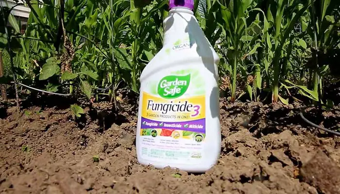 Garden Safe Ready-to-Use Brand Fungicide3