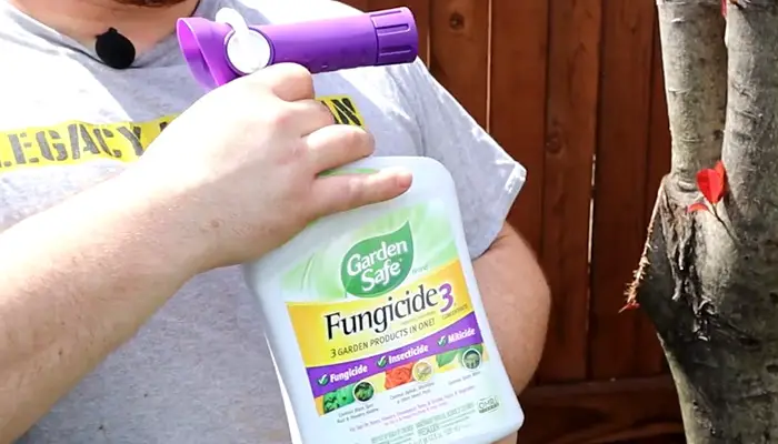 Garden Safe Brand Fungicide3 Ready-to-Use