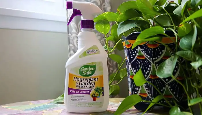 Garden Safe Brand Ready-to-Use Houseplant & Garden Insect Killer