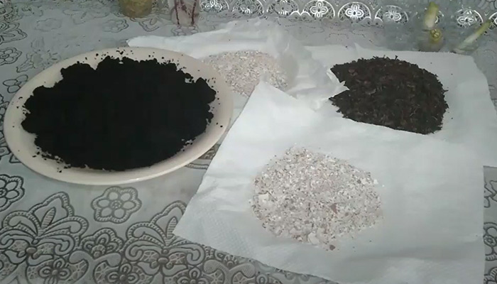 Organic Homemade Fertilizer