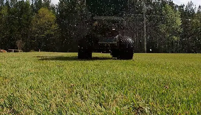 Zoysia Fertilizing