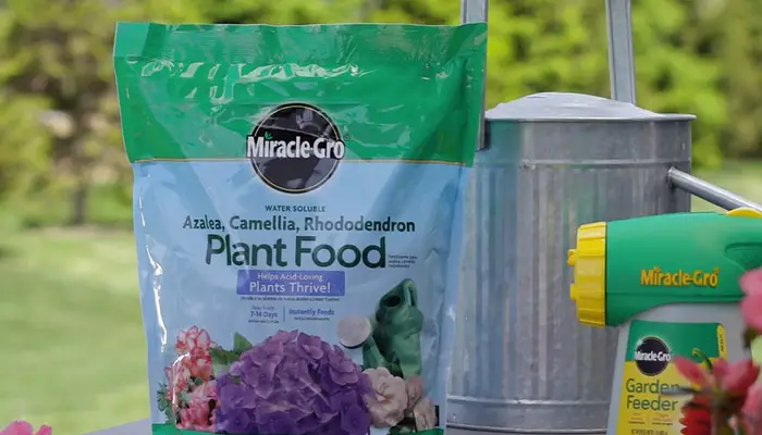 Miracle-Gro 1000701 Pound (Fertilizer for Acid Loving Plant Food for Azaleas, Camellias, and Rhododendrons