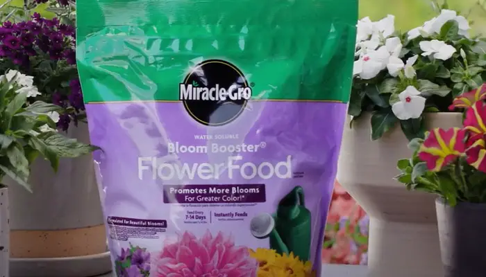 Miracle-Gro 1001921 Water Soluble Flower Food