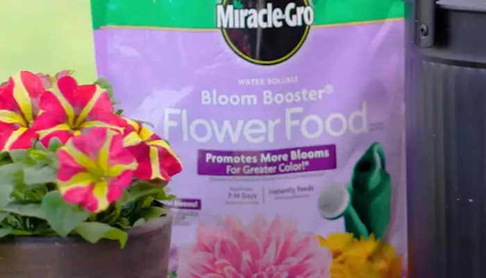 Miracle-Gro, 1-Pound 1360011 Water Soluble Bloom Booster Flower Food