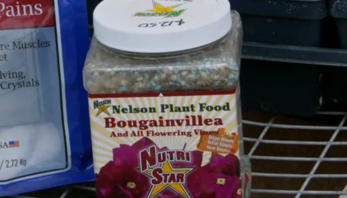 Nelson Bougainvillea & All Flowering Vines