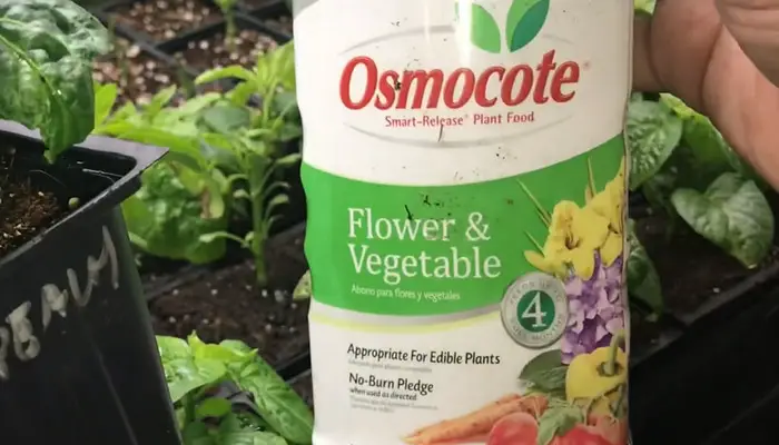 Osmocote Smart-Release Plant Food Flower & Vegetable