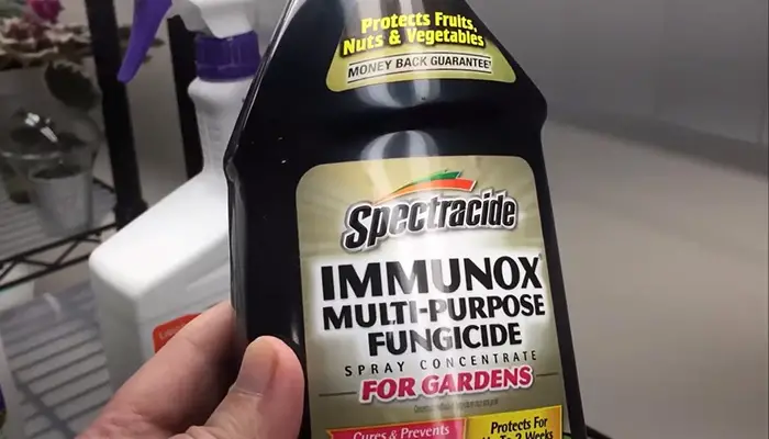 Spectracide Immunox Fungicide Multi-Purpose Spray Concentrate