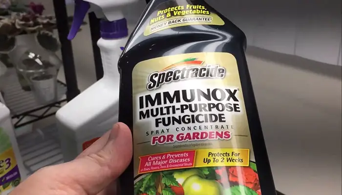 Spectracide Immunox Multi-Purpose Fungicide Spray Concentrate For Gardens